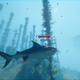 Image for article titled Maneater: The Kotaku Review